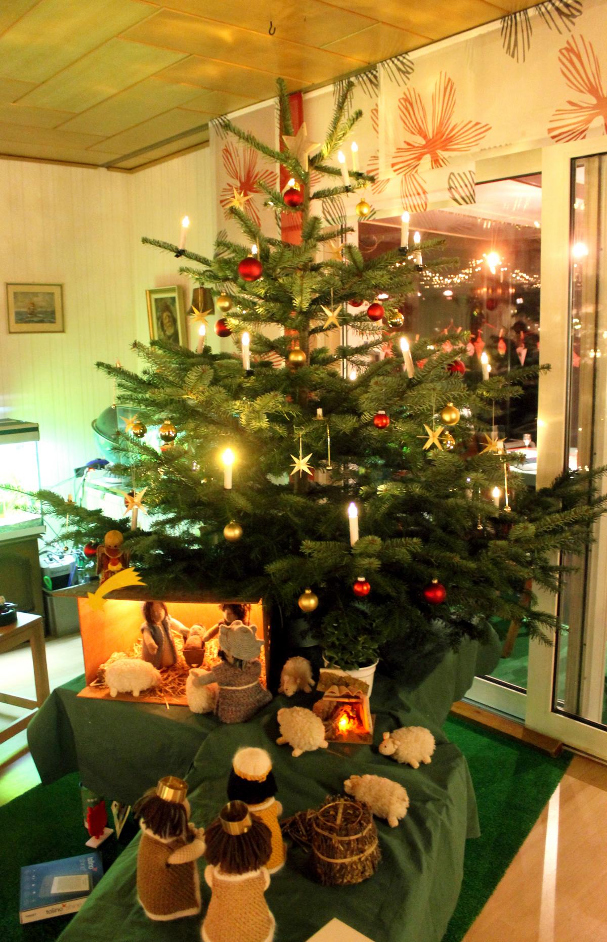 Weihnachtsbäume / Kaminholz Hof Börgen – Bild 4