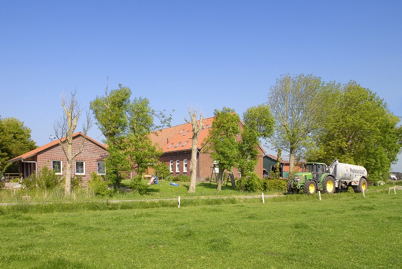 Bauernhof am Deich – Bild 4