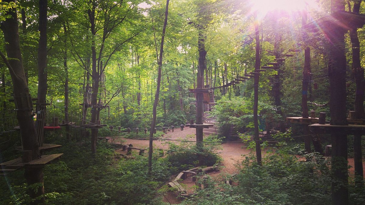 Waldseilpark Karlsruhe – Bild 1