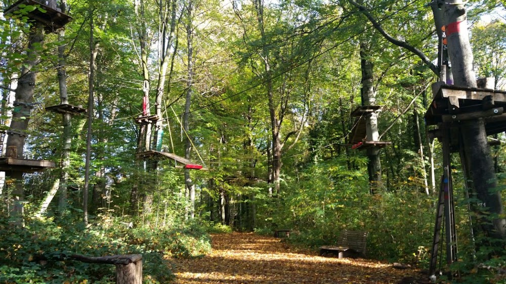 Waldseilpark Karlsruhe – Bild 3