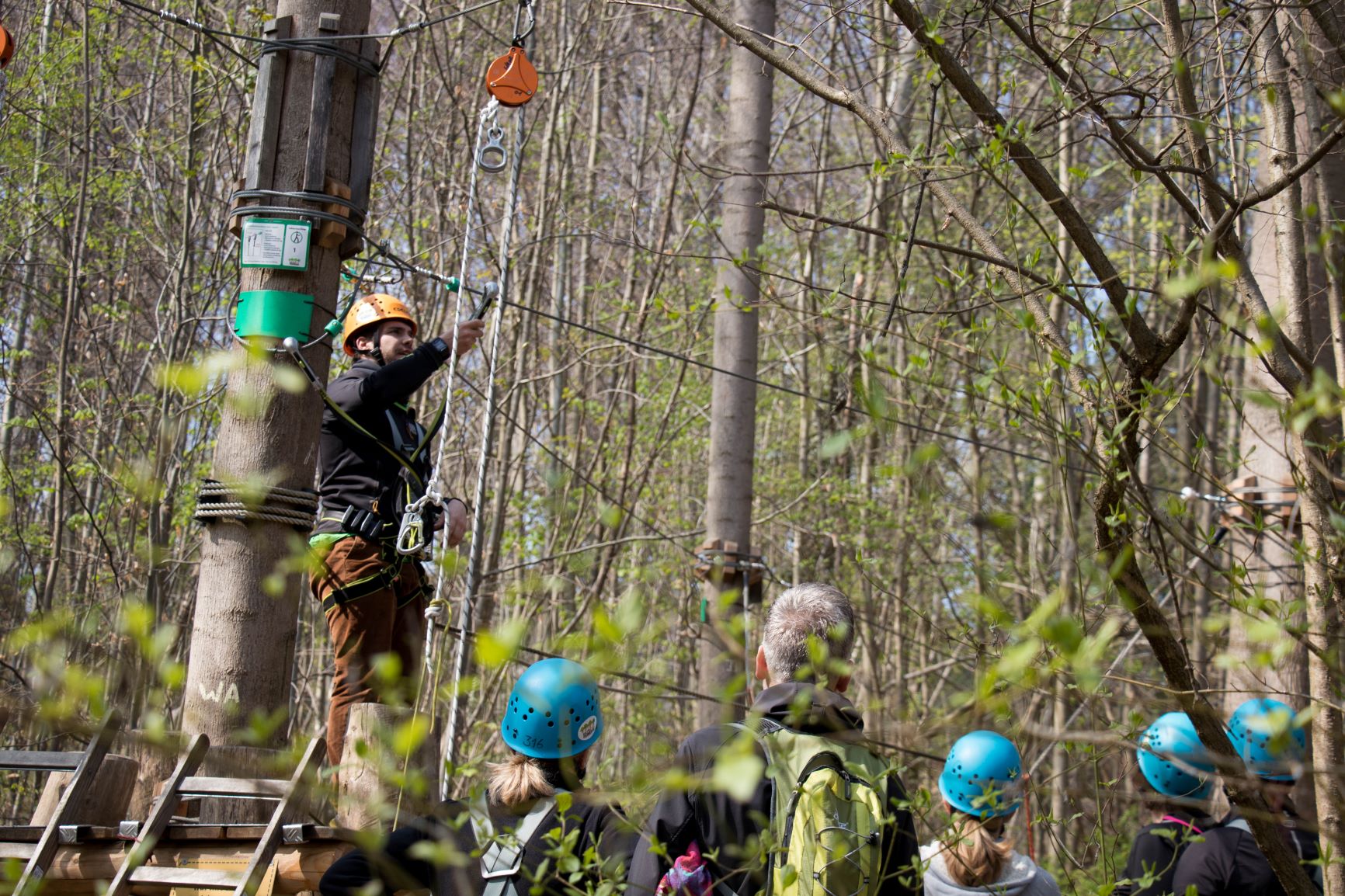 Waldseilpark Karlsruhe – Bild 4