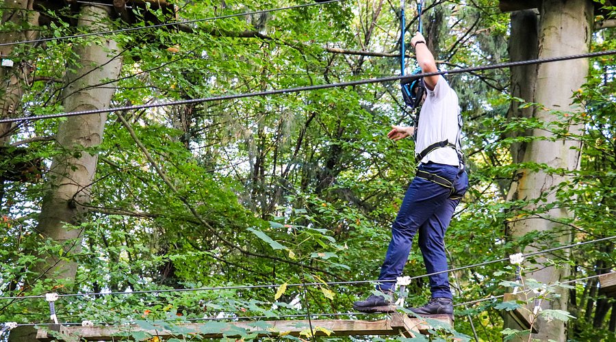 Waldseilpark Karlsruhe – Bild 5