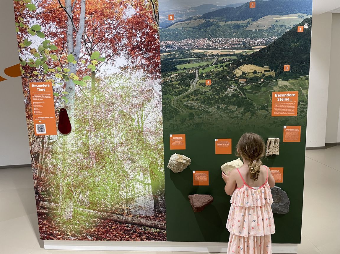 Entdeckerwelt Bad Urach - Kindererlebniszentrum – Bild 2