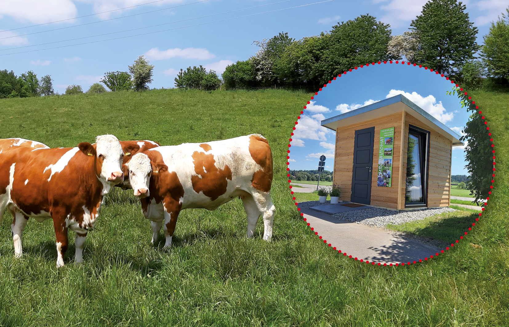 Milch- und Eierautomat Familie Angelberger – Bild 4