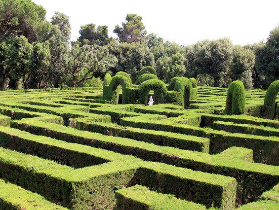 Irrgarten – Bild 6