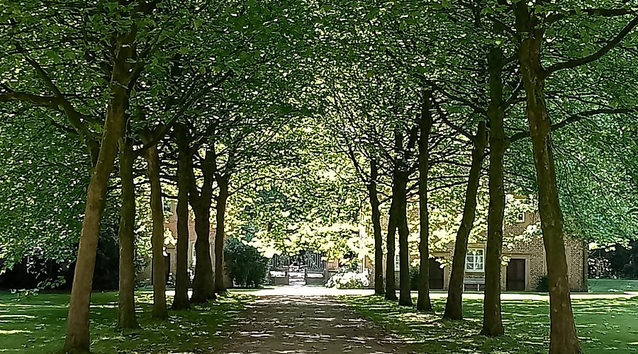 Salinenpark – Bild 5