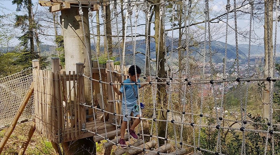 Baumkronenweg – Bild 1