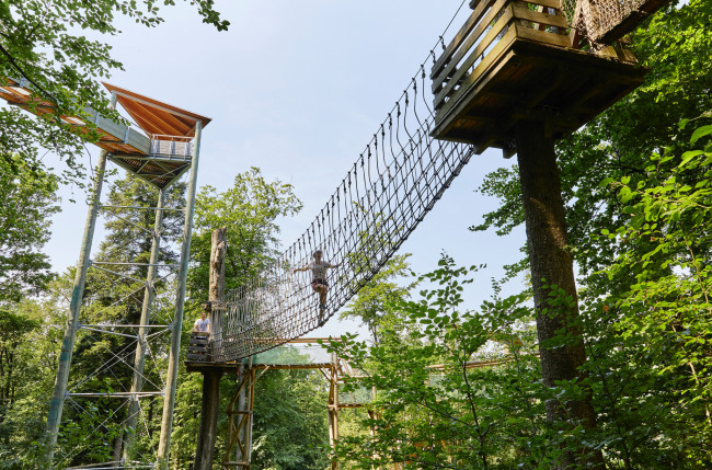 Baumkronenweg – Bild 2