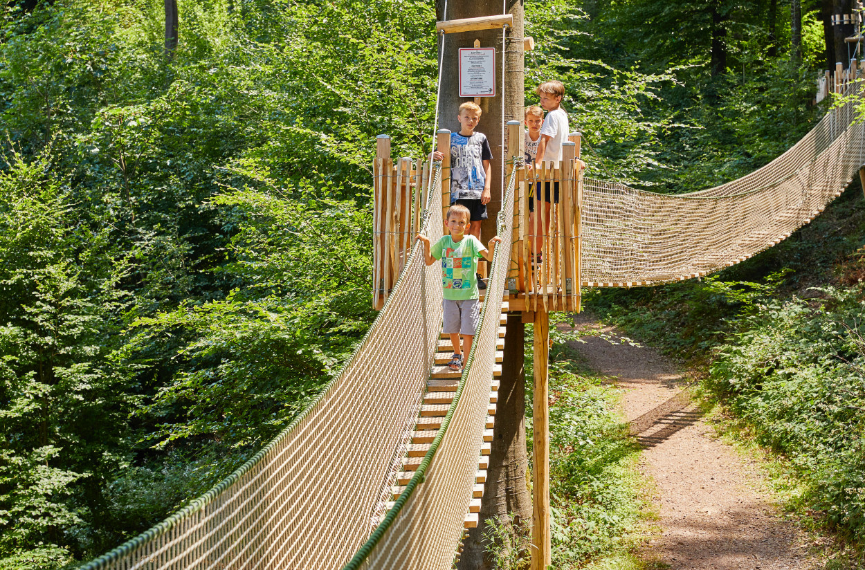 Baumkronenweg – Bild 3