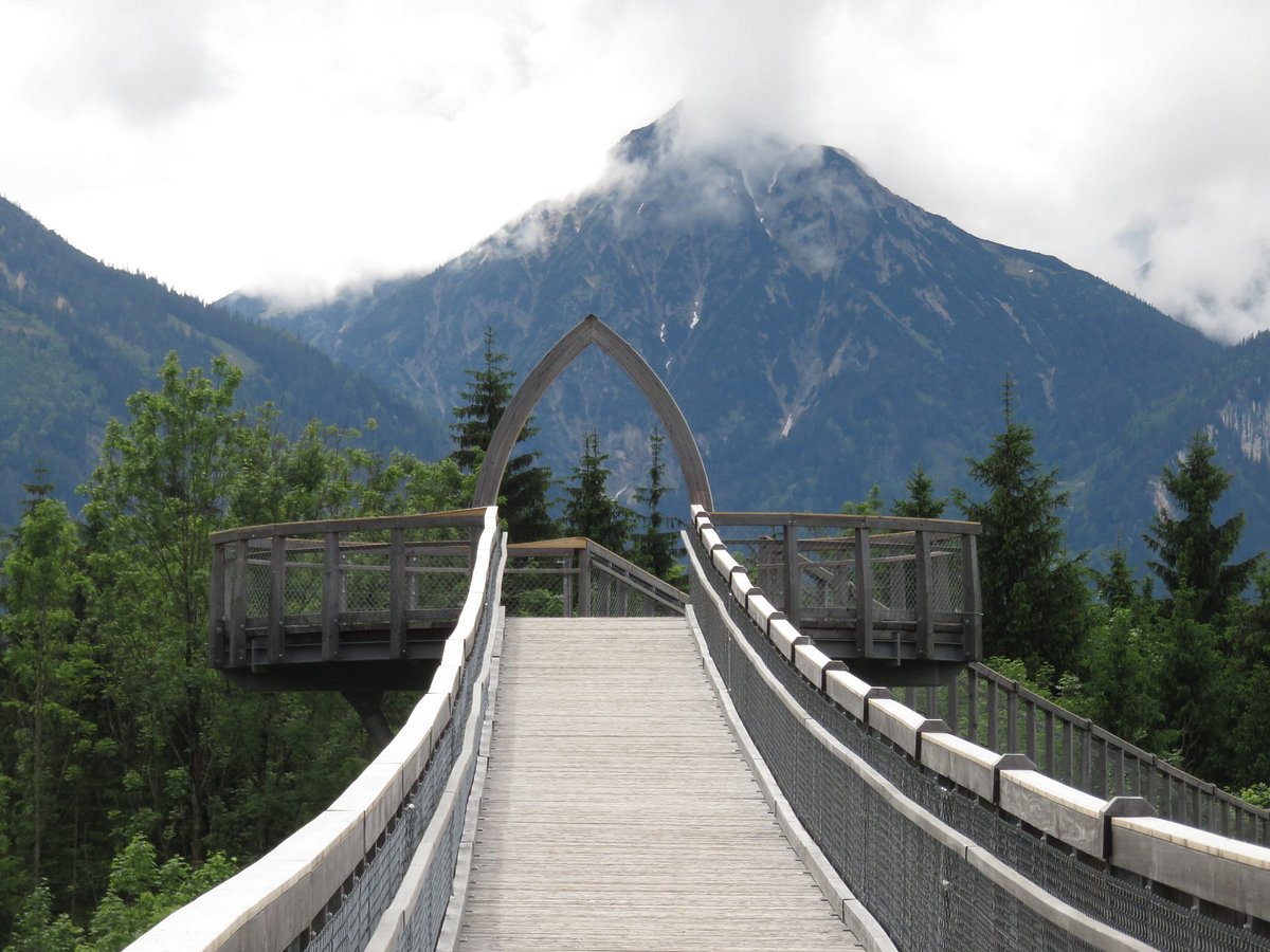 Baumkronenweg – Bild 5