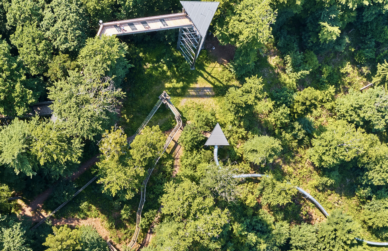 Baumkronenweg – Bild 6