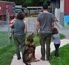 Domaine le Baribois – Bild 2