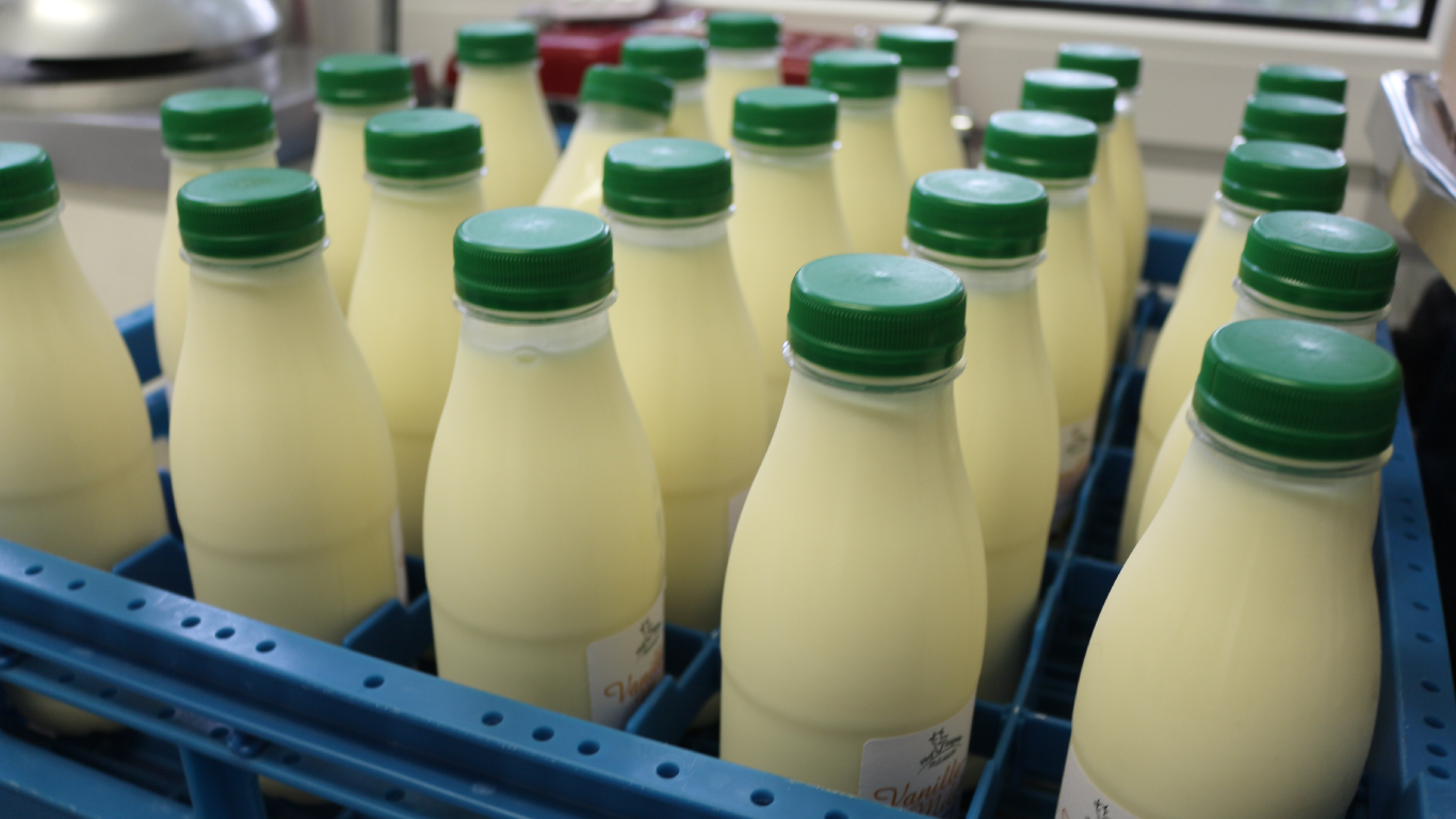 Sandras Milchhütte – Bild 6