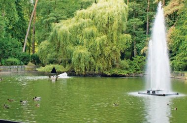 Vogelpark Troisdorf – Bild 6