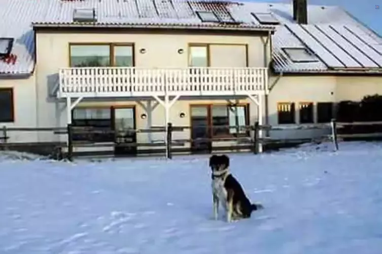 Ferienhof Jansen – Bild 1