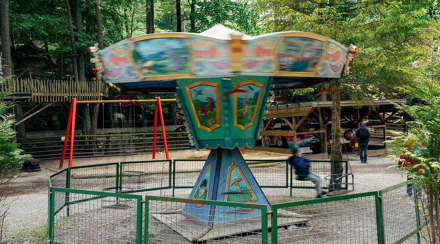 Märchenwald – Bild 3