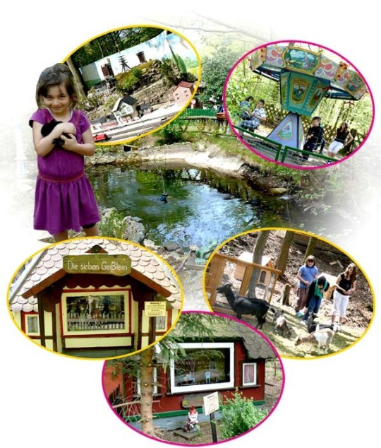 Märchenwald – Bild 4