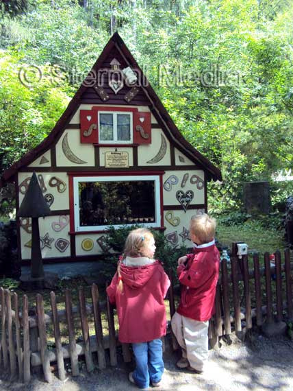 Märchenwald – Bild 6