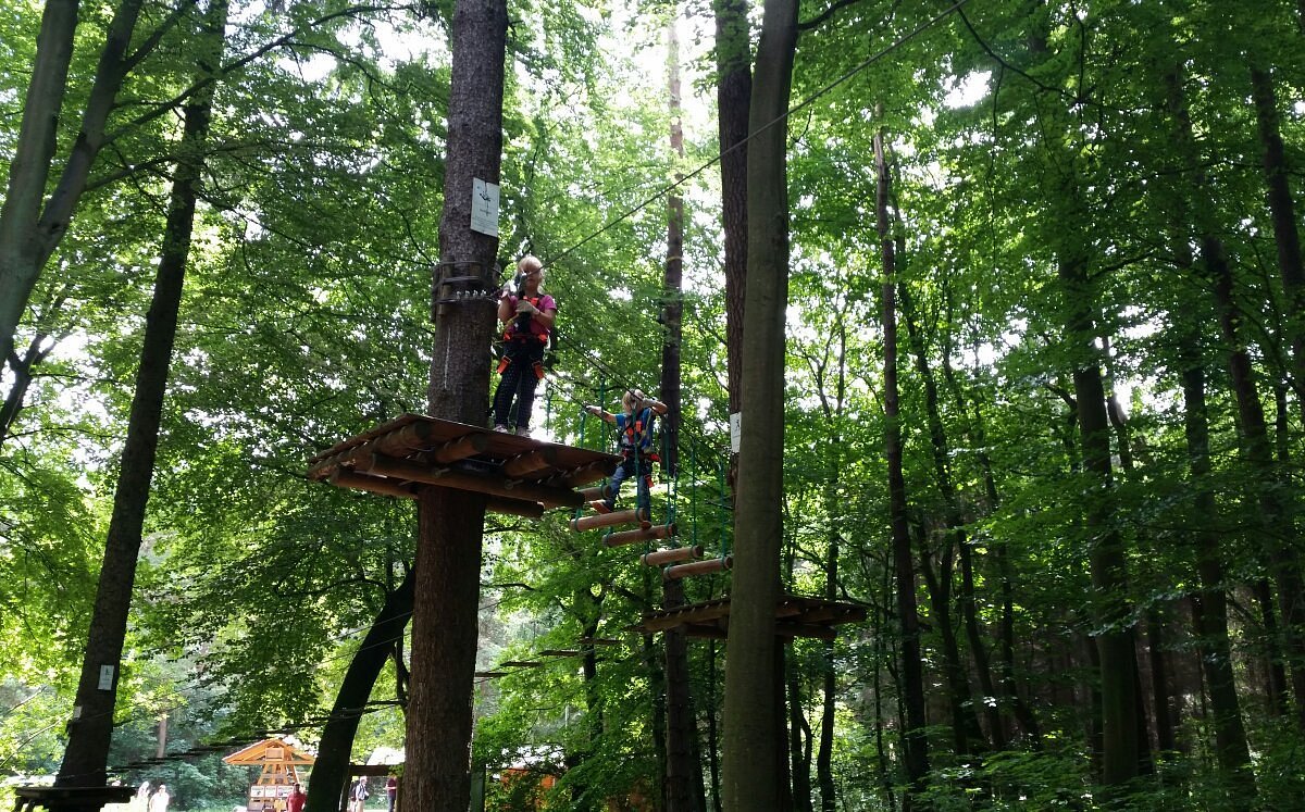 Kletterwald Usedom – Bild 3