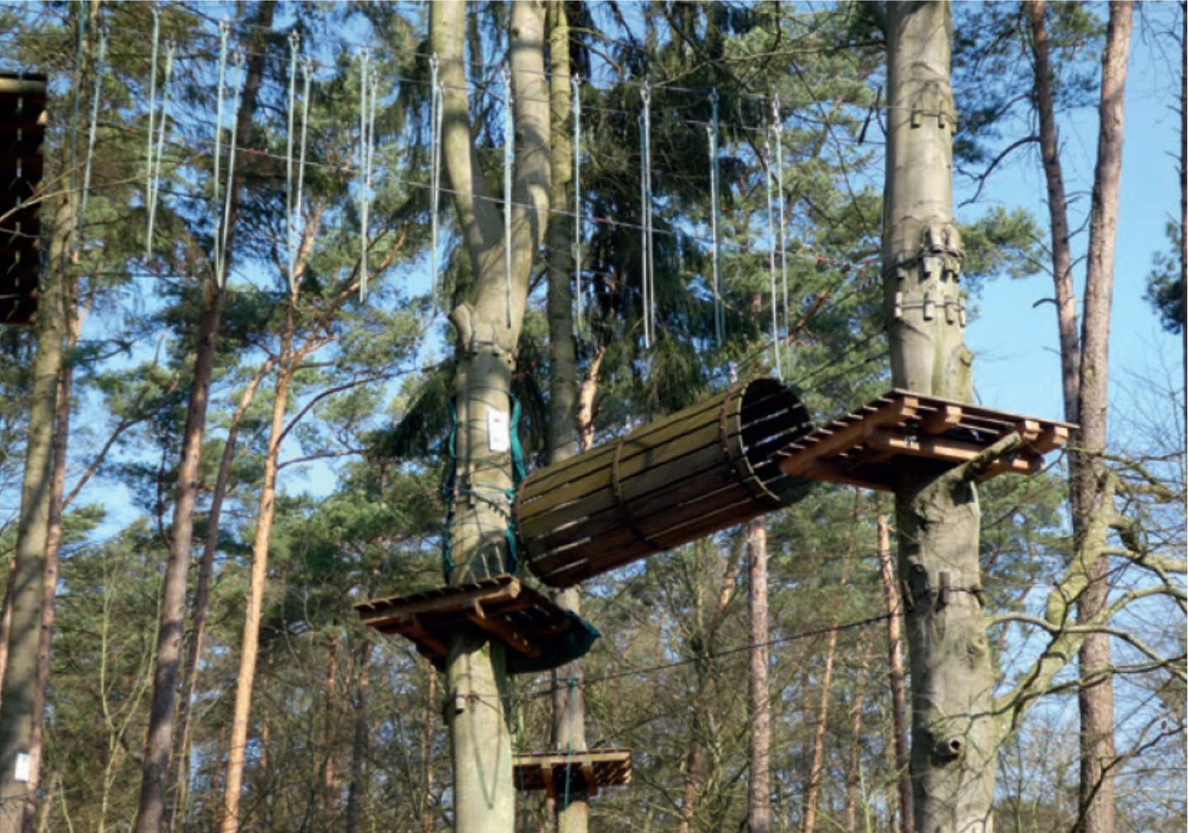 Kletterwald Usedom – Bild 5
