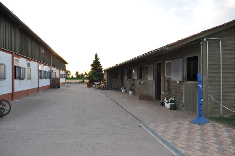 Reitanlage Moser – Bild 4