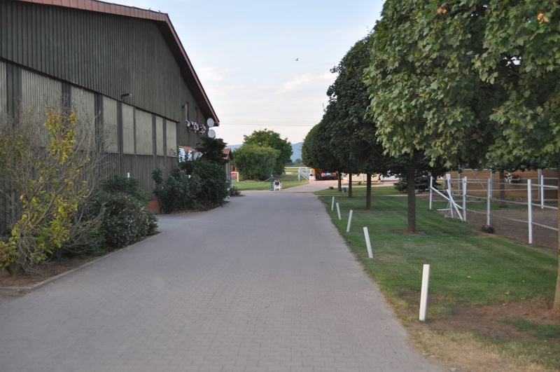 Reitanlage Moser – Bild 6