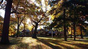 High Park Nature Centre – Bild 2