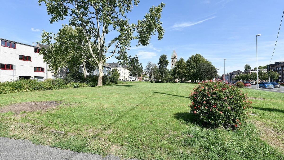 Georgswiese – Bild 6