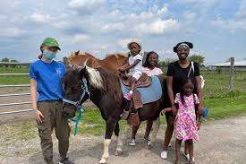 Lionels Farm – Bild 2