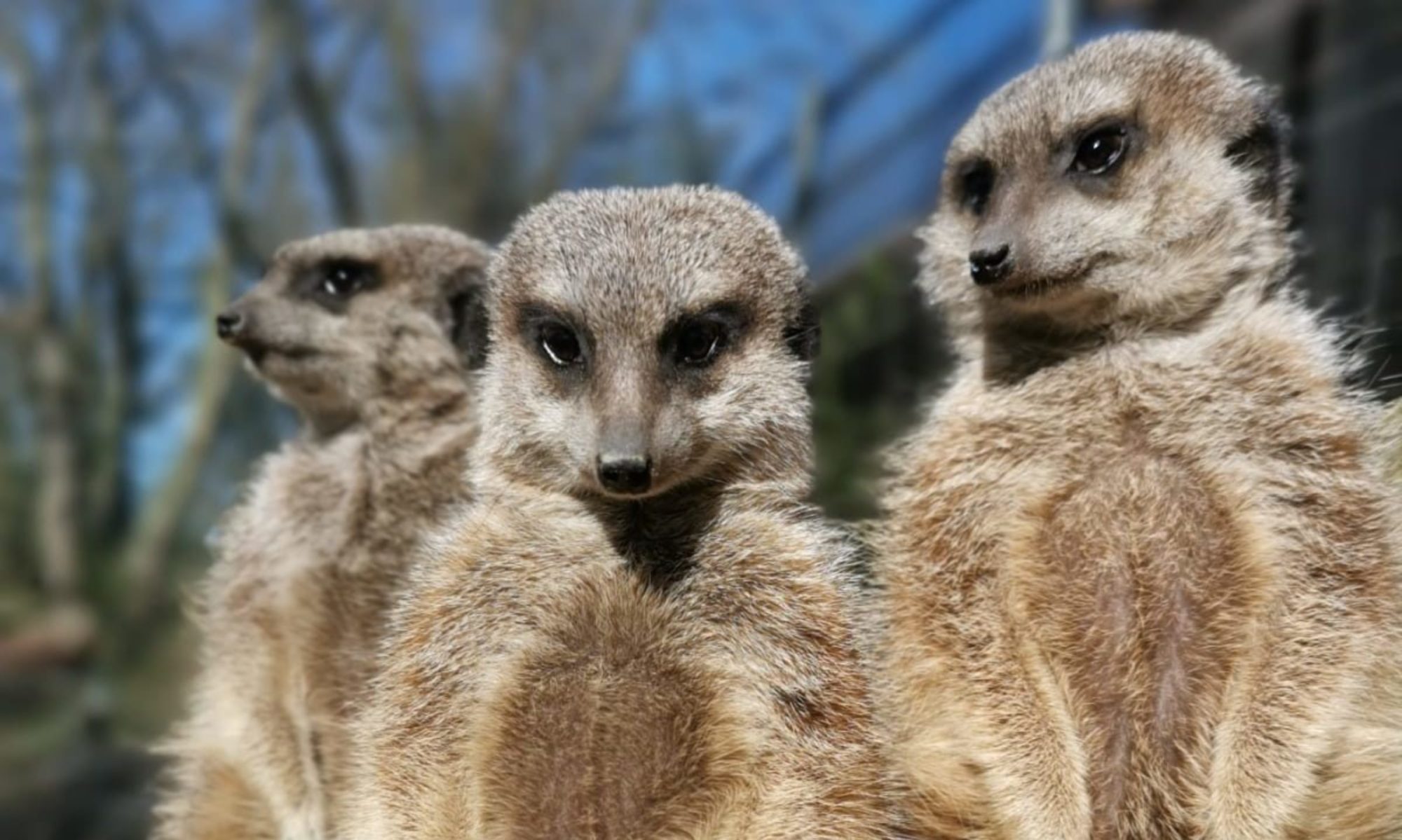 Tierpark Essehof – Bild 2