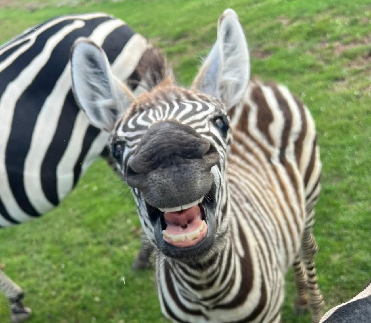 Tierpark Essehof – Bild 6