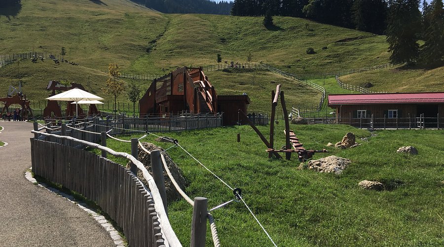 Alpsee Bergwelt – Bild 4