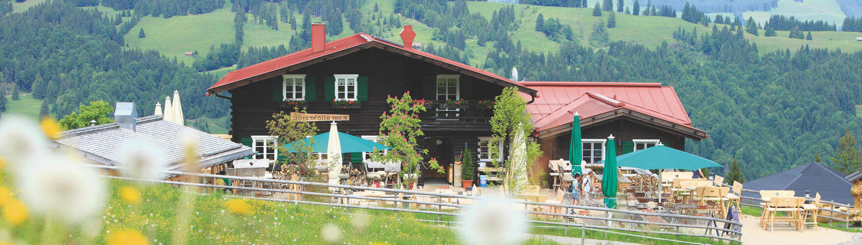 Alpsee Bergwelt – Bild 5