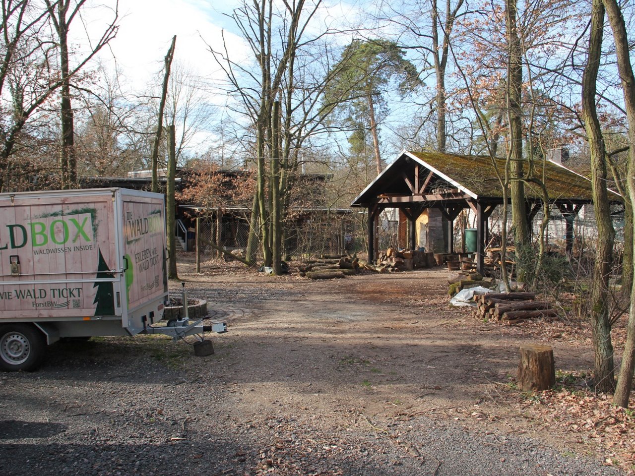 Rotlochhütte, Forst – Bild 5