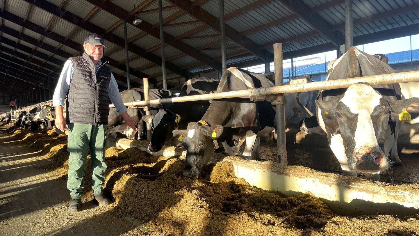 Rinderzucht Augustin KG – Bild 6