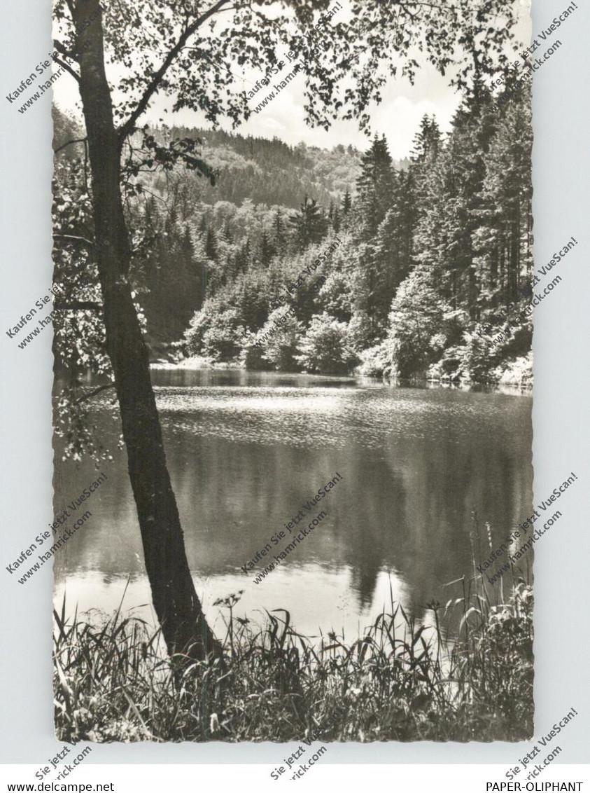 Hof Sohlbach – Bild 3