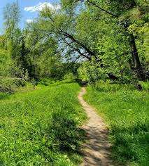 Atto Beaver Park – Bild 4