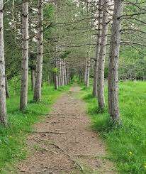 Atto Beaver Park – Bild 5