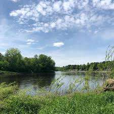 Atto Beaver Park – Bild 6