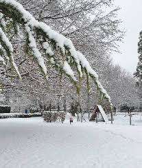 Parc du closillon – Bild 5