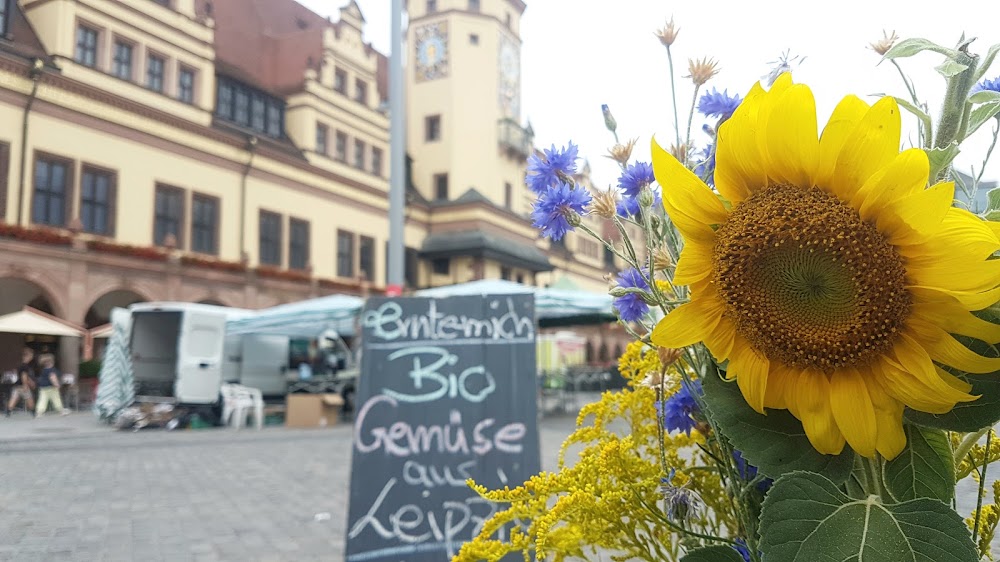 ernte-mich Bio-Hof mit Hofladen – Bild 1