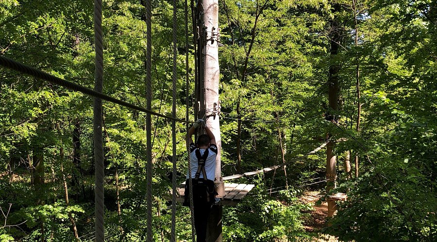 Kletterwald Speyer – Bild 2