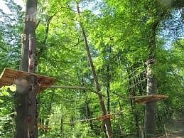 Kletterwald Speyer – Bild 3