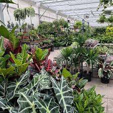 Anga's Farm & Nursery – Bild 2