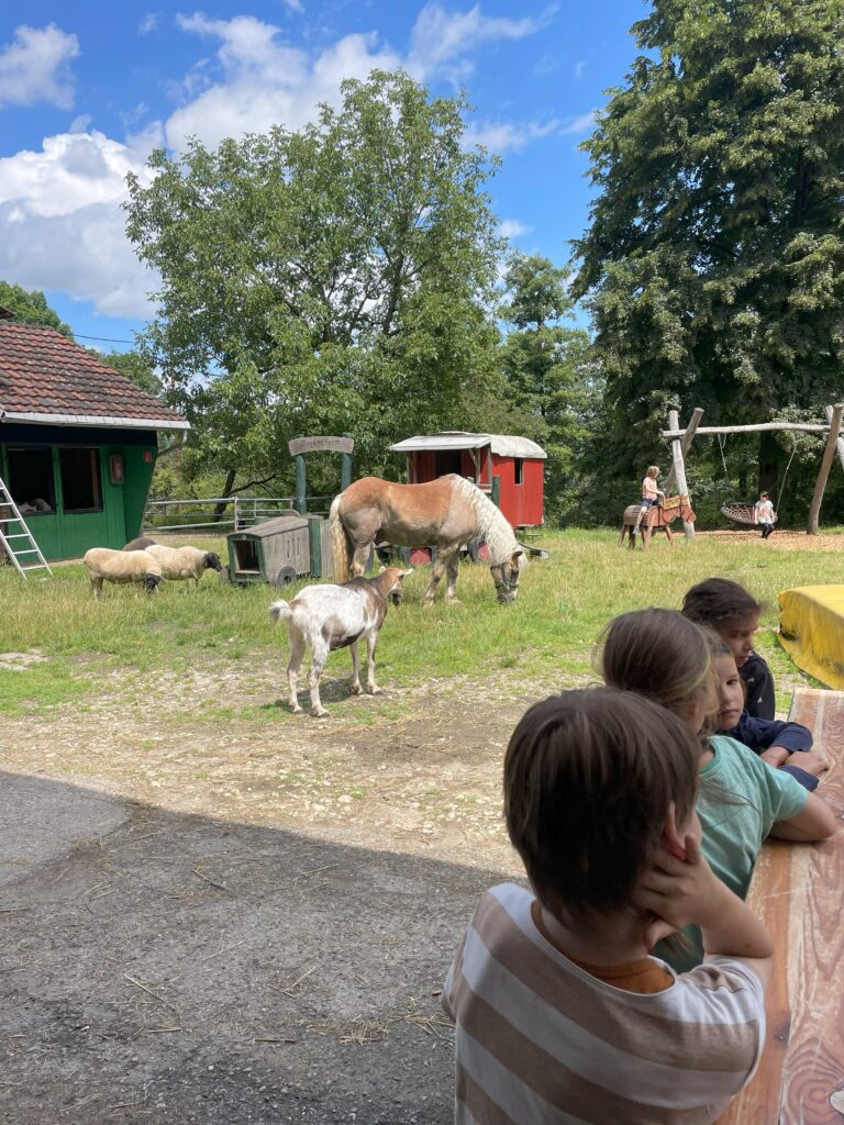 Jugendfarm Esslingen e.V. – Bild 3