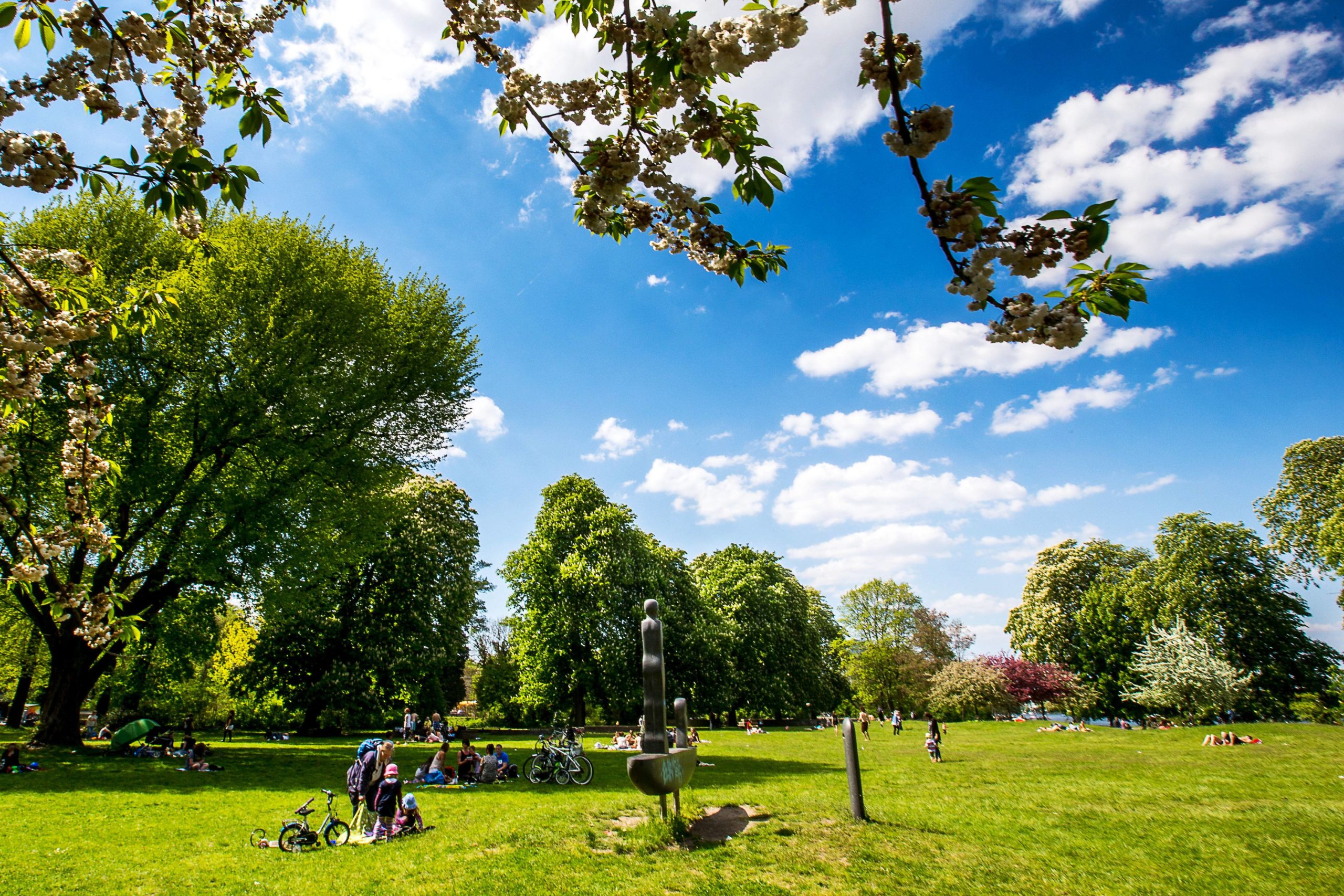 Liegewiese – Bild 3