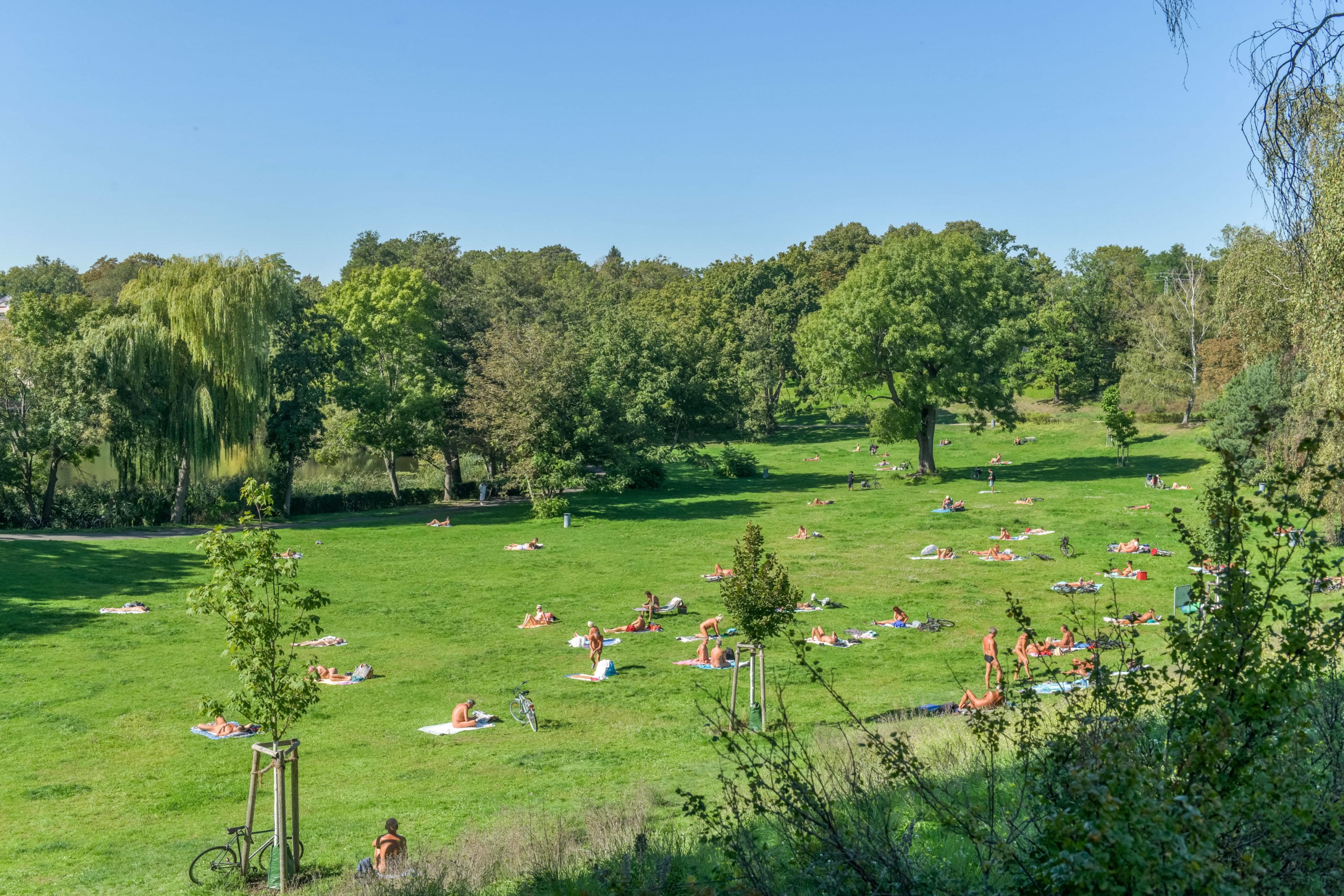 Liegewiese – Bild 5