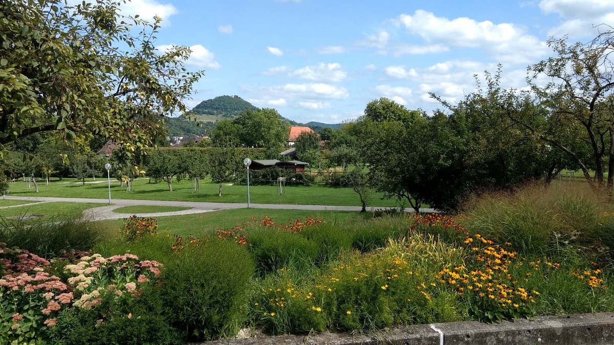 Pomologie – Bild 1