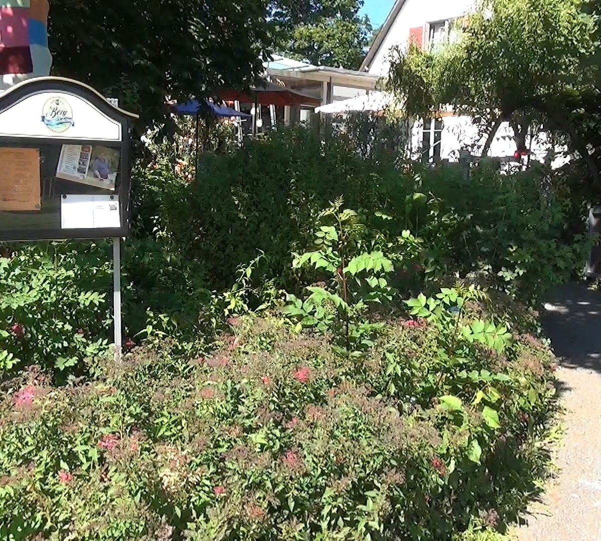 Pomologie – Bild 4