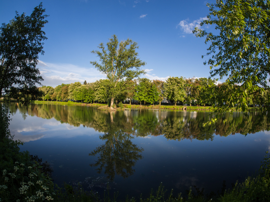 Stadtpark Wieseckaue – Bild 1